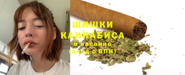 прущие грибы Арсеньев
