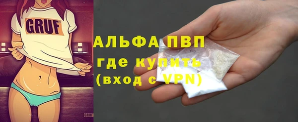 прущие грибы Арсеньев