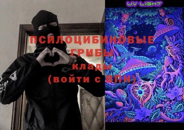 прущие грибы Арсеньев