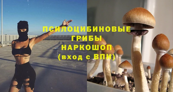 прущие грибы Арсеньев