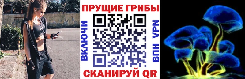 Галлюциногенные грибы Cubensis Харовск